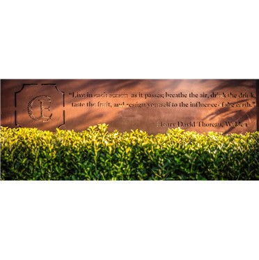 s-372-373-201911281721146590705