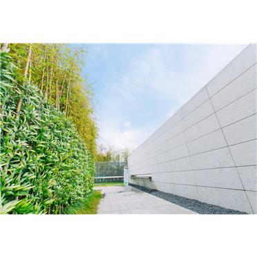 s-372-373-201912021700304909328