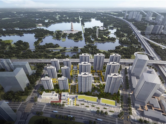 s-545-409-202101251827245163359