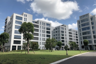 s-395-264-202306091019139194504