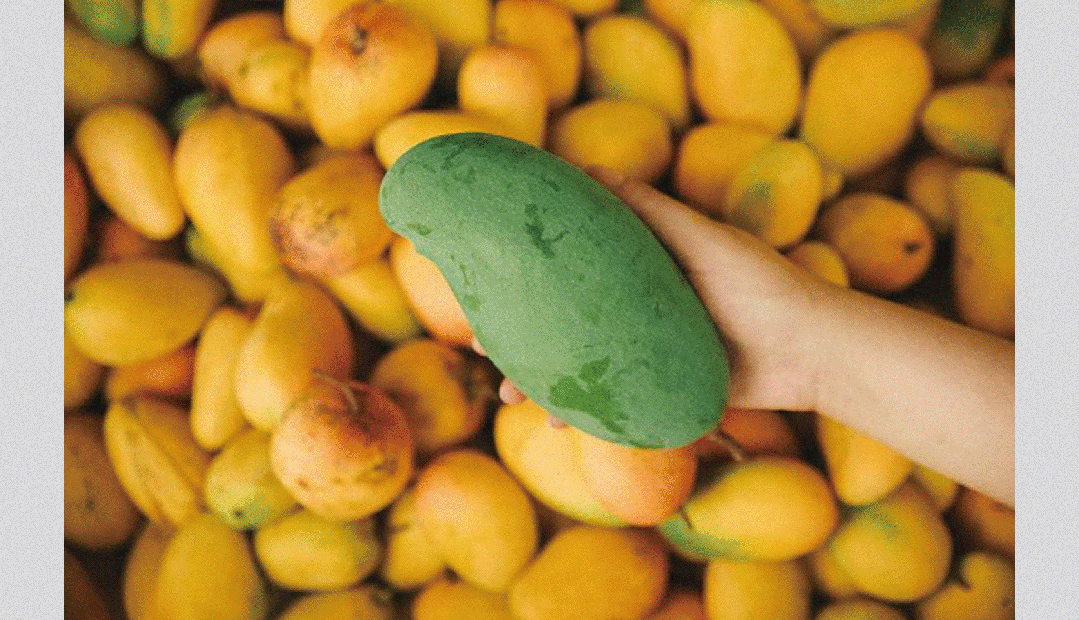 202308141840076543168