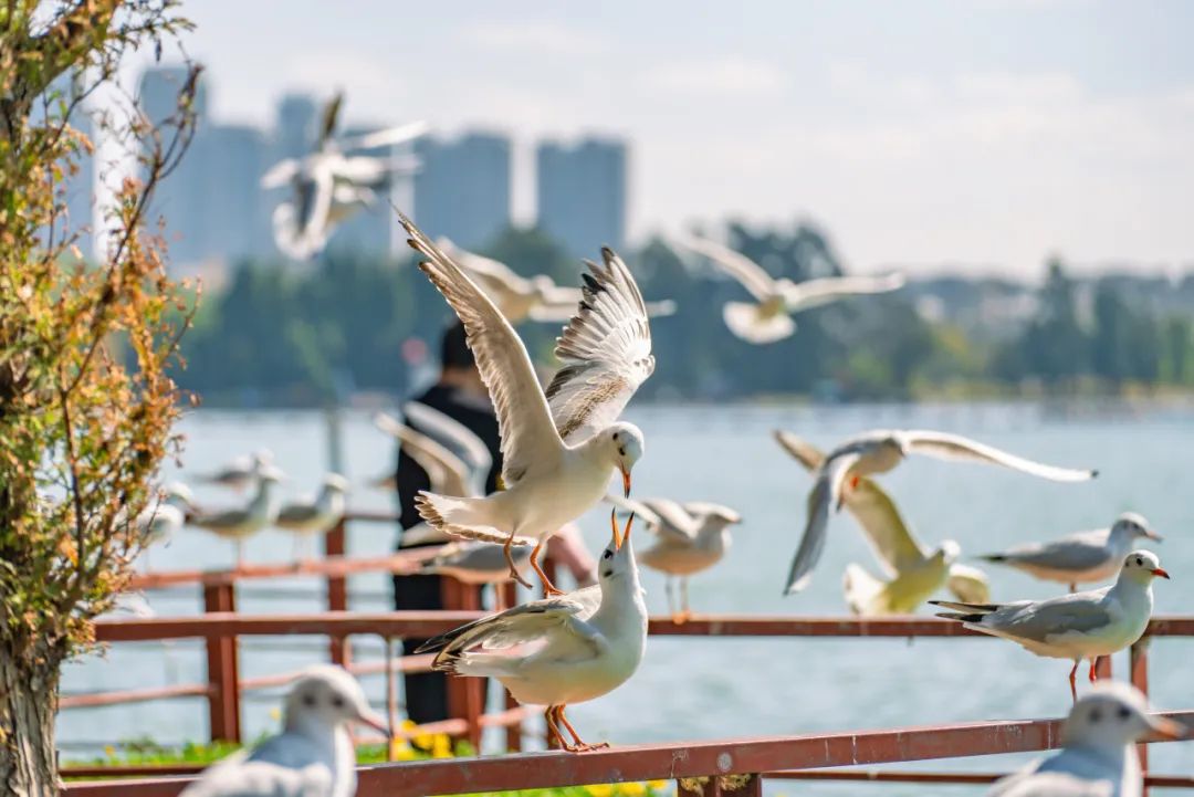 202310191454092949464