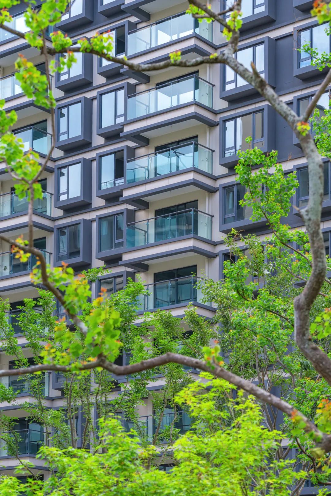 202310191454142324814