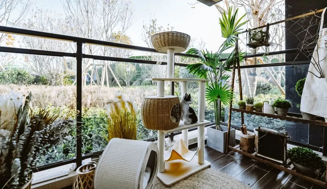 202310191454190137812