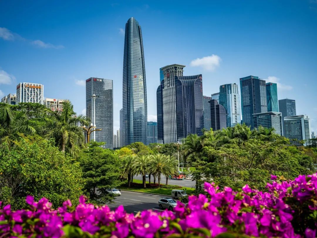 202310271610116386916