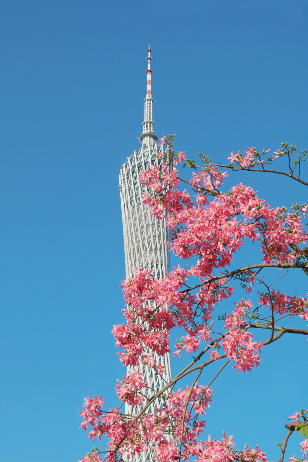 202311291732039328740