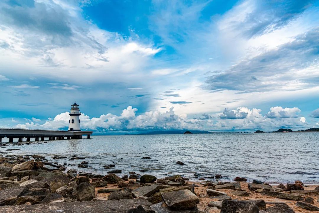 202311291732051047886