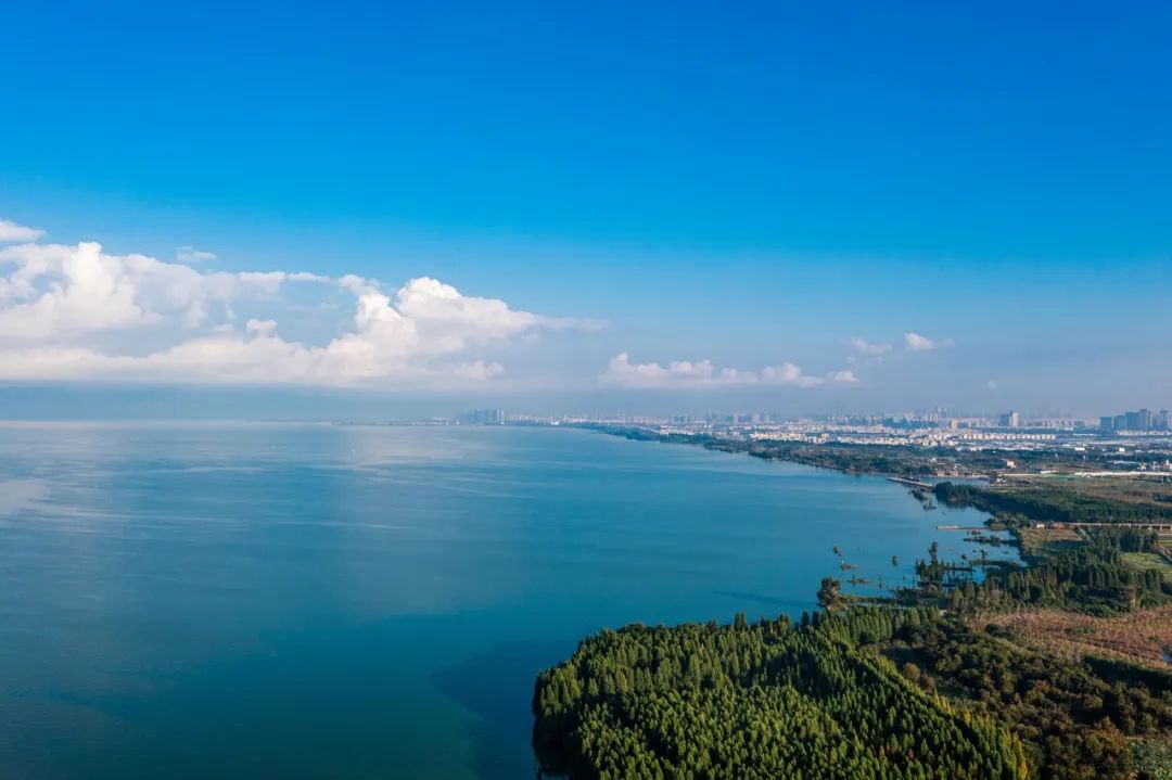 202311291732105579012