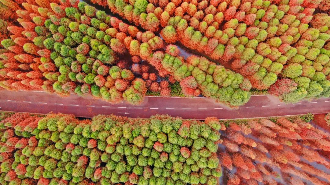 202311291732108391682