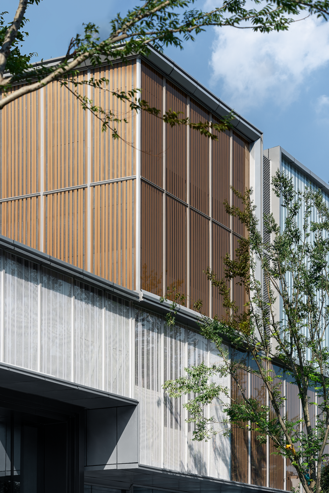 202312081149206139459