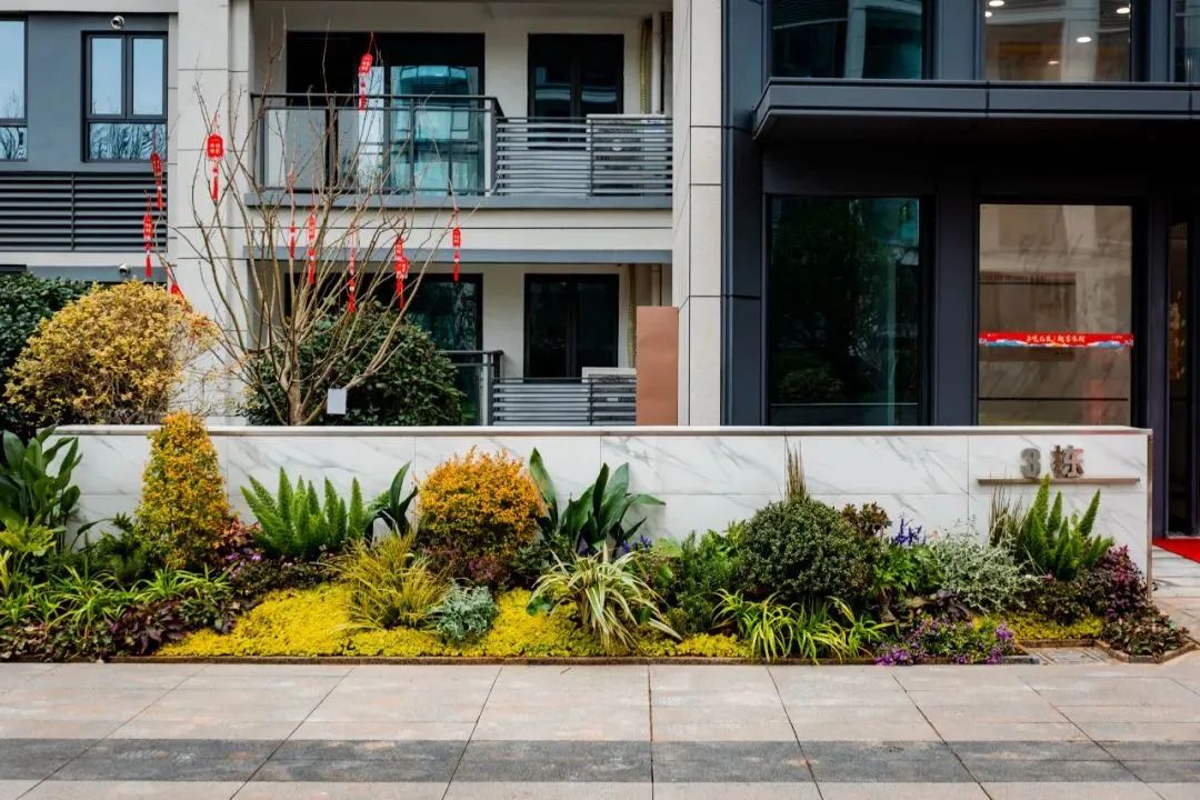 202403041552144505583