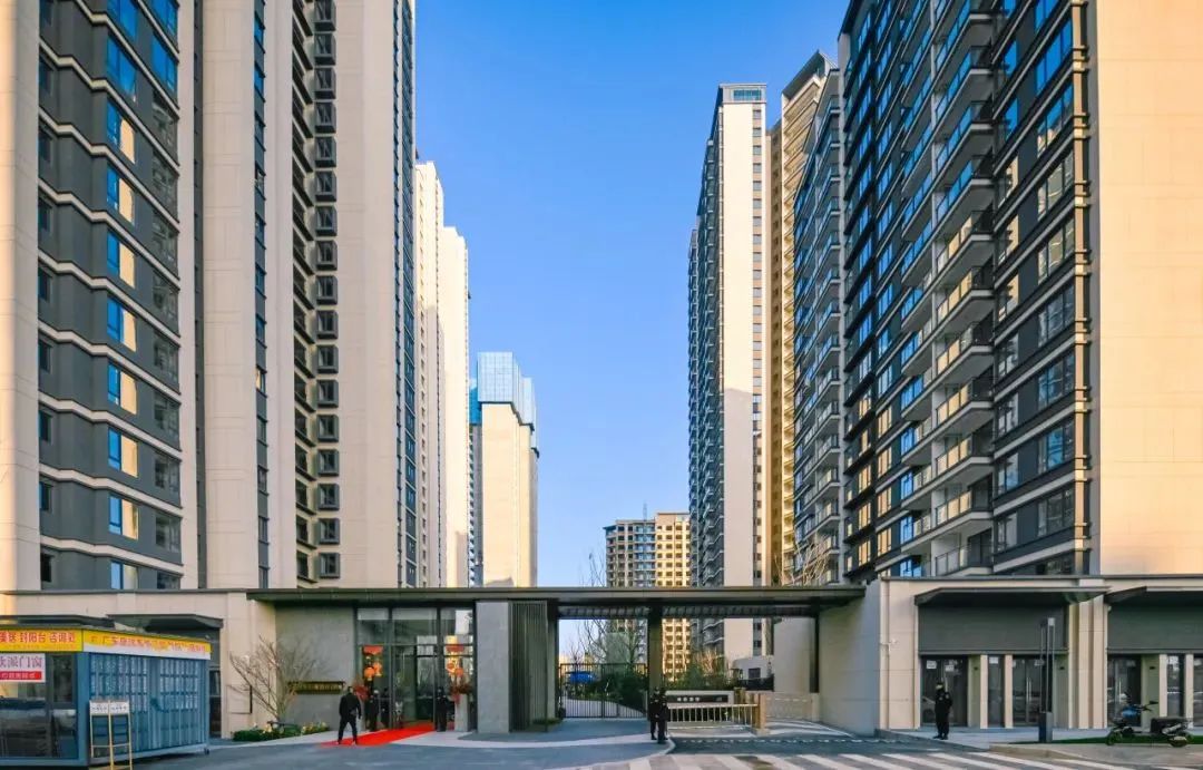 202403041552154974224