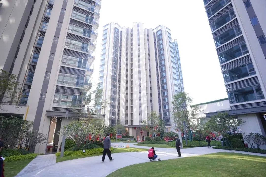 202403041552231067598