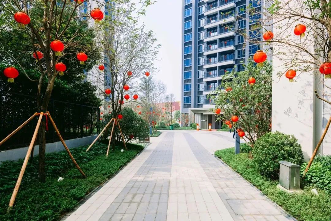 202403041552335206754