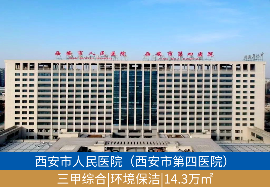 202404091539210809786