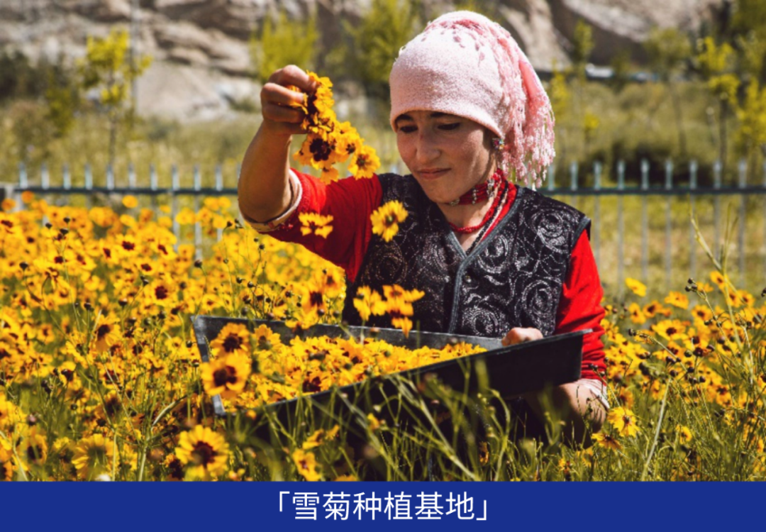 202404091540144093017