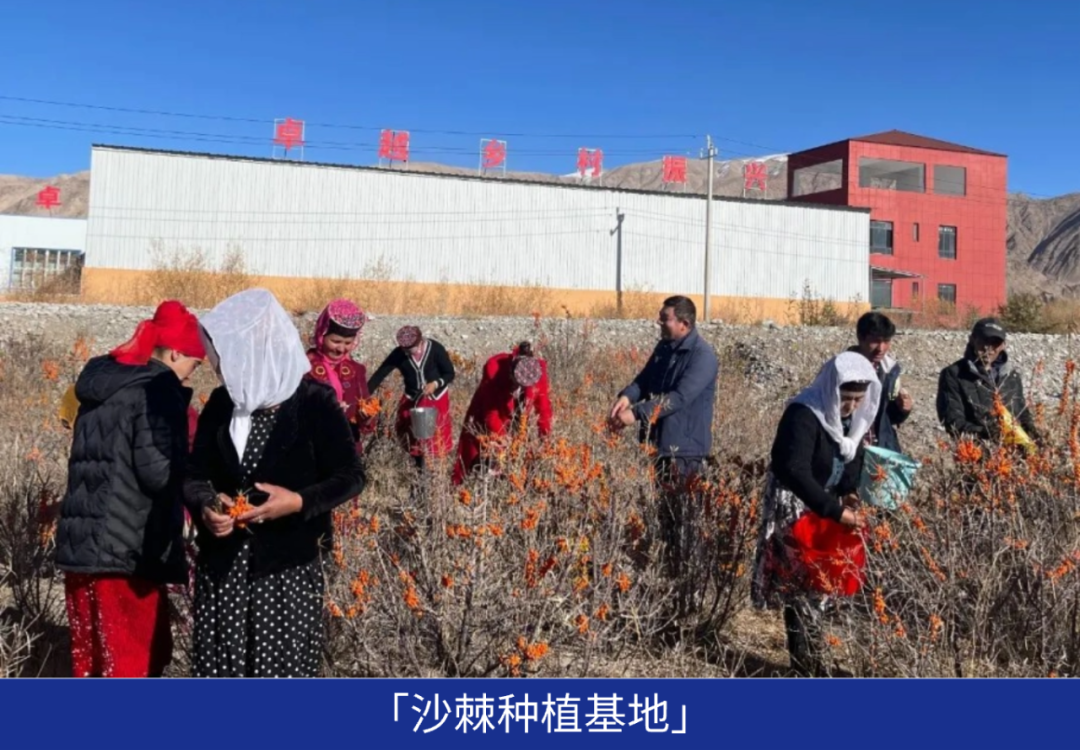 202404091540177843090