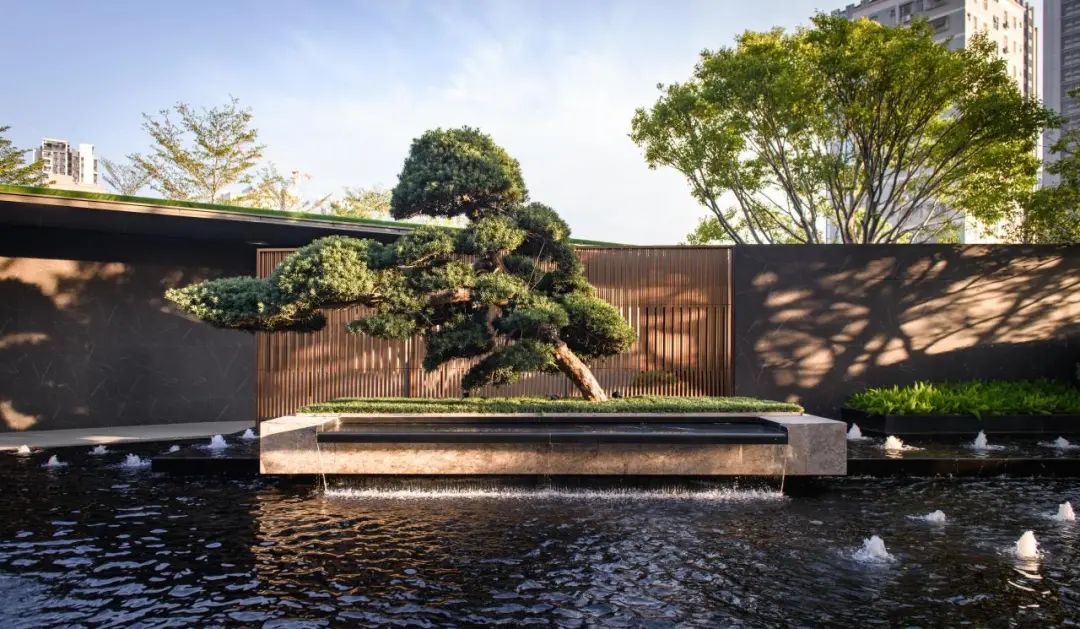 202412171057138968179