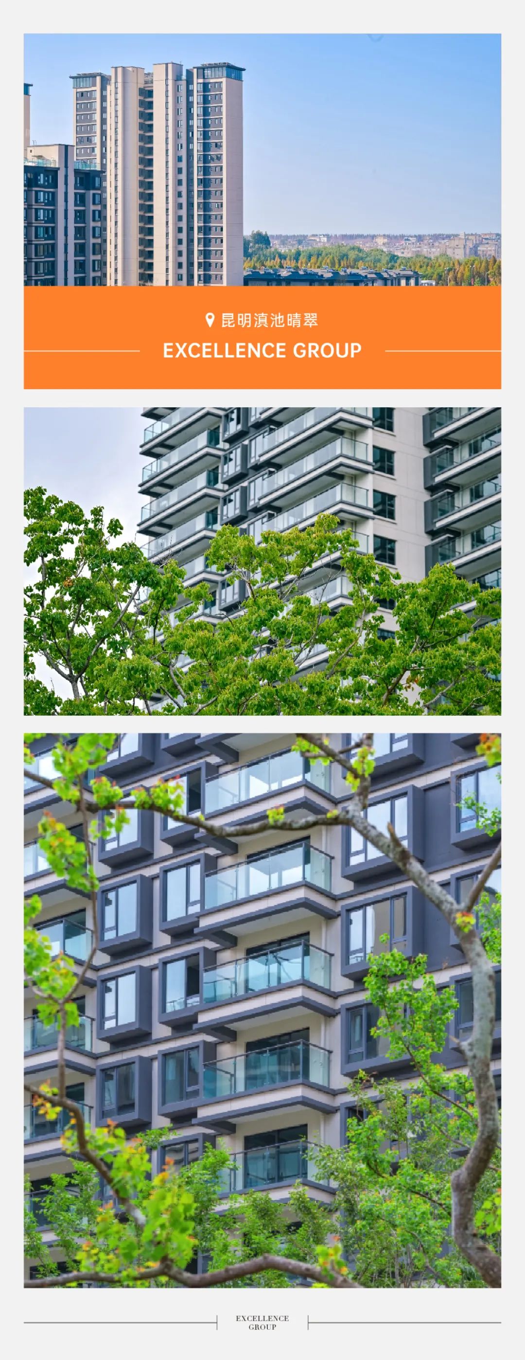 202501232229156875450