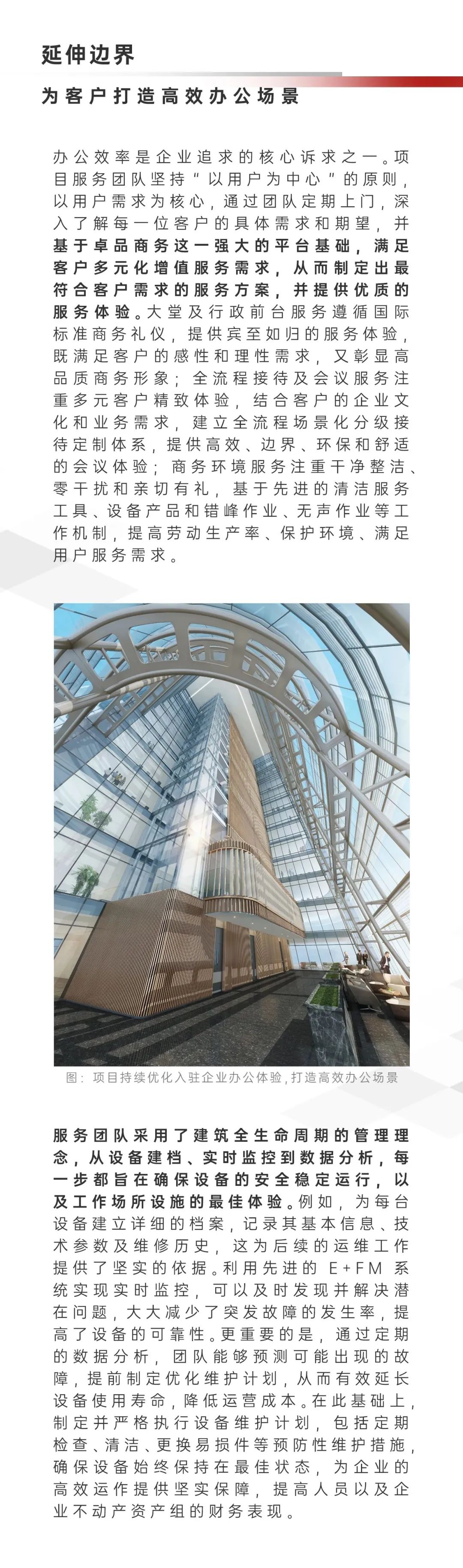 202503171054016192667